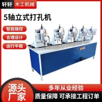 5轴立式打孔机家具木工钻孔机立式可调节多头钻孔机木工机械设备 1台